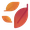fallen leaf